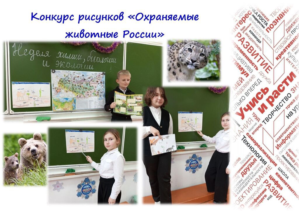 СОШ № 4 Конкурс рисунков Охраняемые животные России